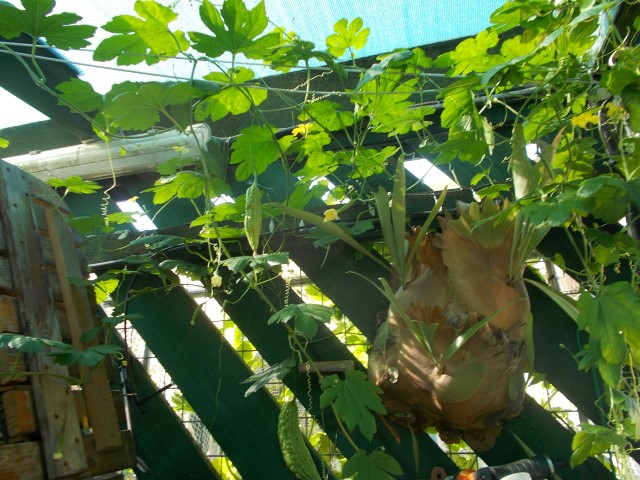 DSCN1520 (Small).JPG