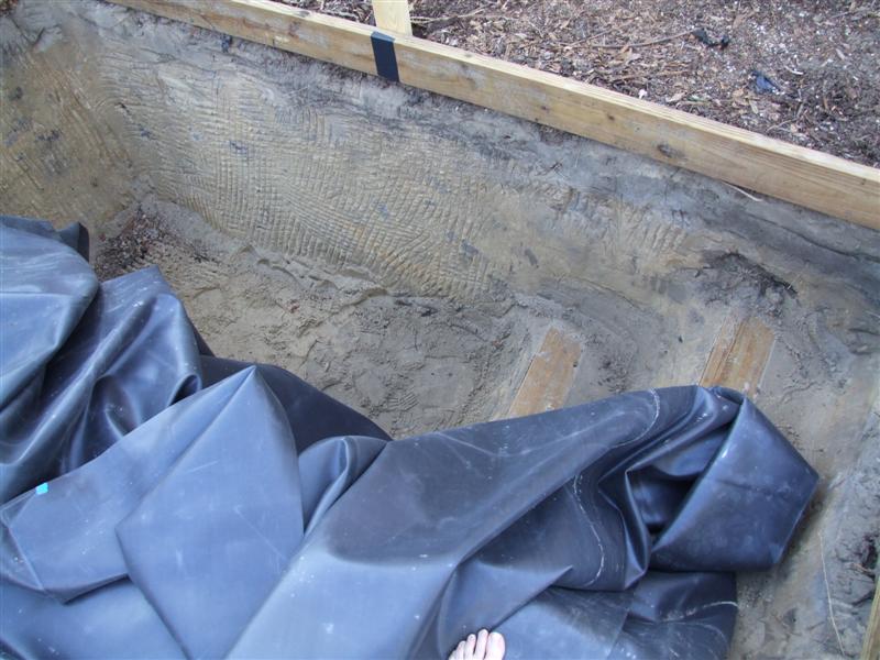 oops need to measure liner (Medium).JPG