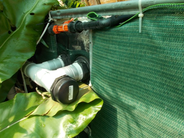 DSCN1542 (Small).JPG