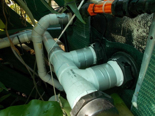 DSCN1543 (Small).JPG