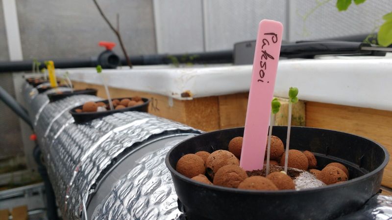 DWC met wrapping.jpg