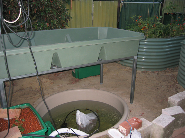 From little beginnings.jpg