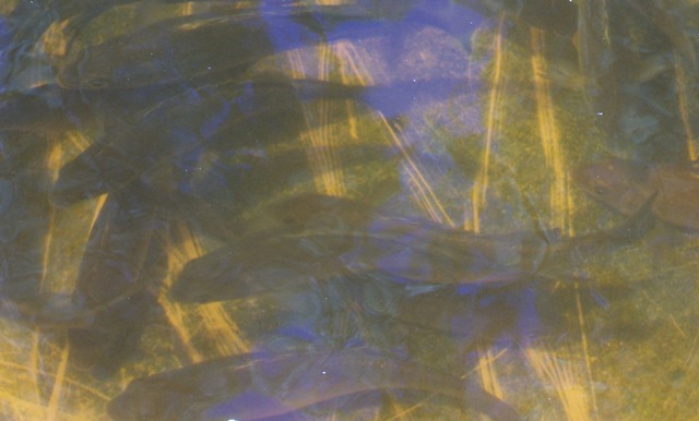 10 minutes later.jpg