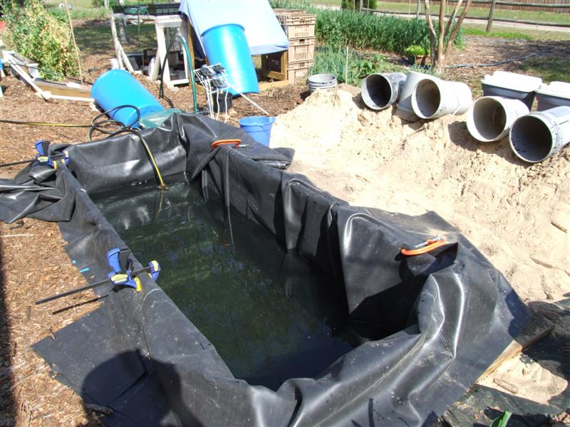 pond filling (Medium).JPG