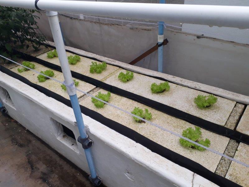 20180315_113544 (2).jpg