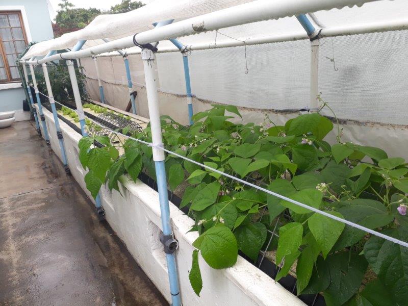 20180315_113736 (2).jpg