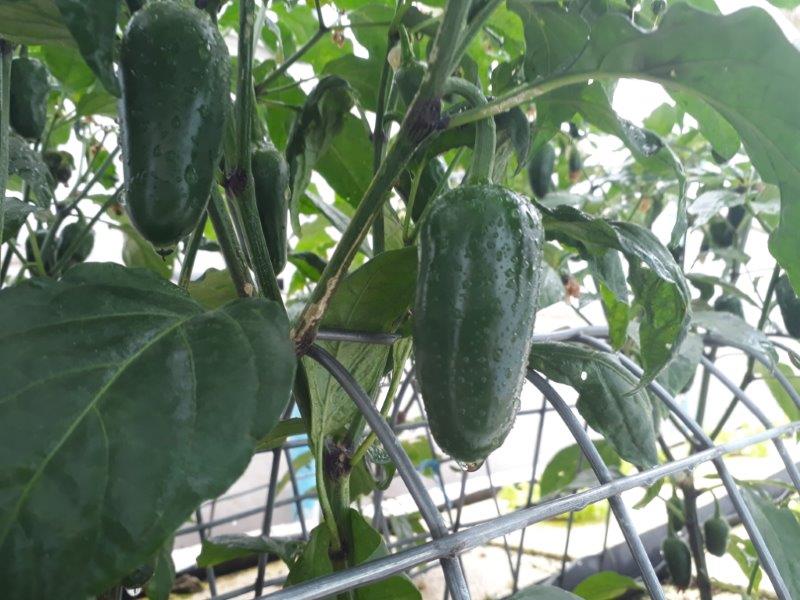 20180315_113514 (2).jpg