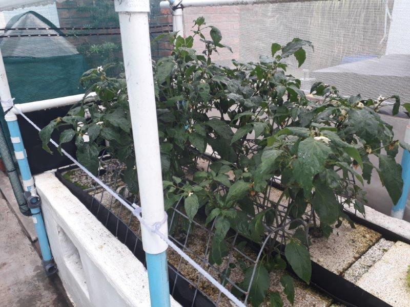 20180315_113528 (2).jpg