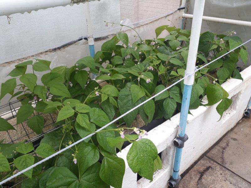 20180315_113626 (2).jpg