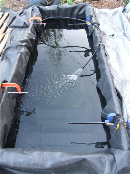 pond full (Medium).JPG