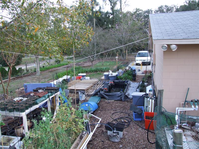 site with pallets (Medium).JPG