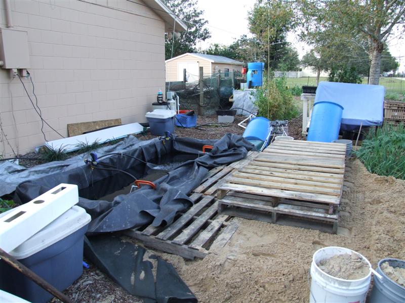 site from south (Medium).JPG