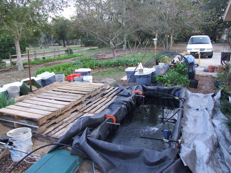 pond full with pallets (Medium).JPG
