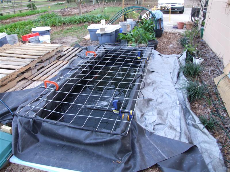 cage in place (Medium).JPG