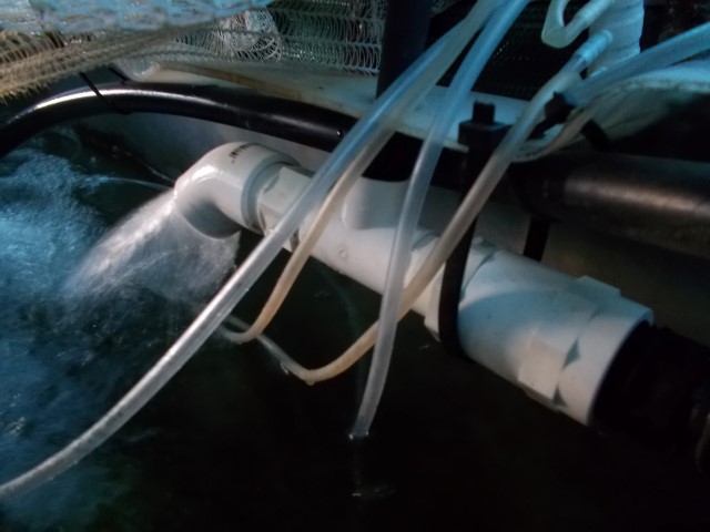 DSCN1624 (Small).JPG