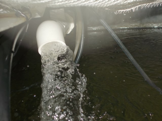 DSCN1627 (Small).JPG