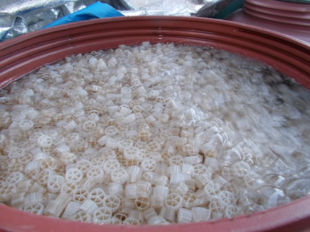 DSCN1630 (Small).JPG