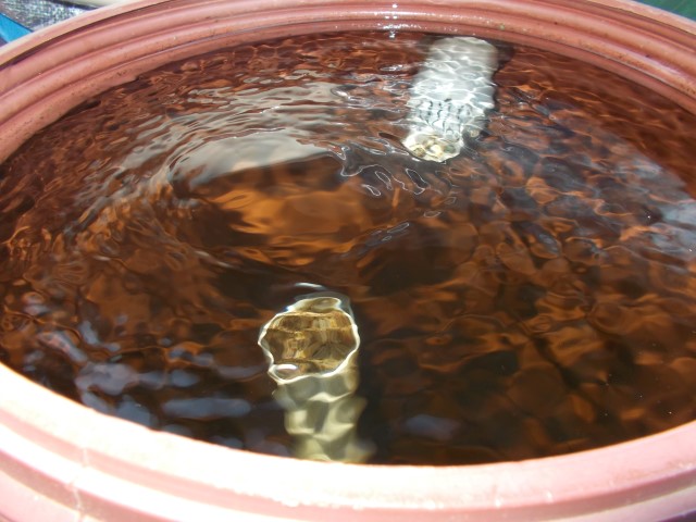 DSCN1631 (Small).JPG