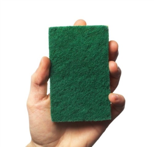 scouring_pad_l1 (Small).jpg