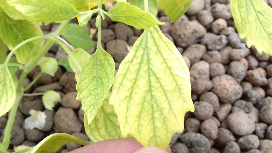 WhatsApp Image 2018-04-05 at 14.05.09 (1).jpeg