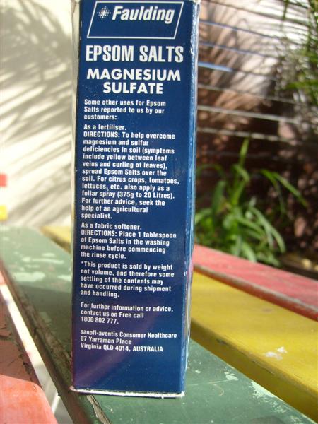 S6303535 (Medium).JPG