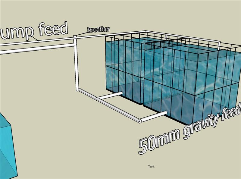 like this (Medium).jpg