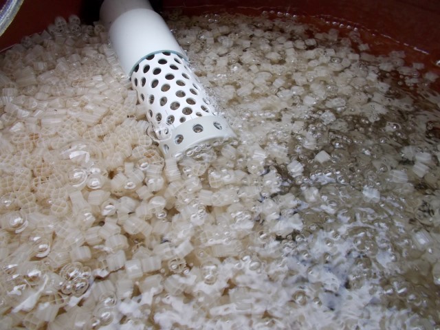 MBBF 005 (Small).JPG