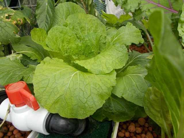 DSCN1658 (Small).JPG