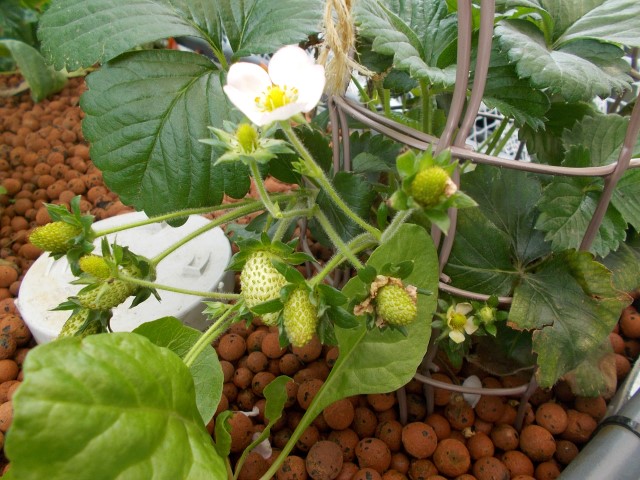 DSCN1665 (Small).JPG