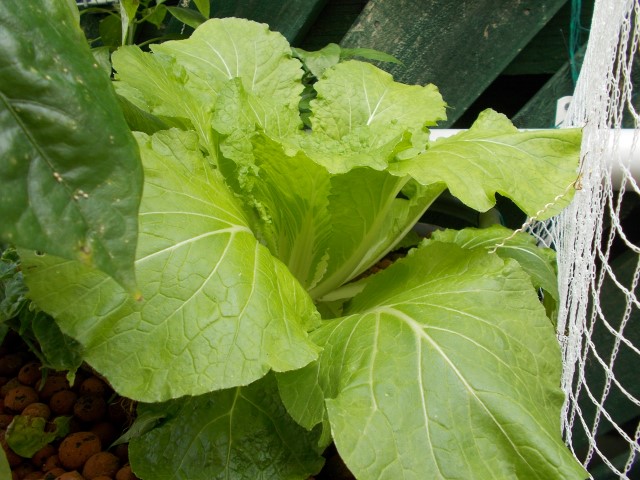 DSCN1671 (Small).JPG