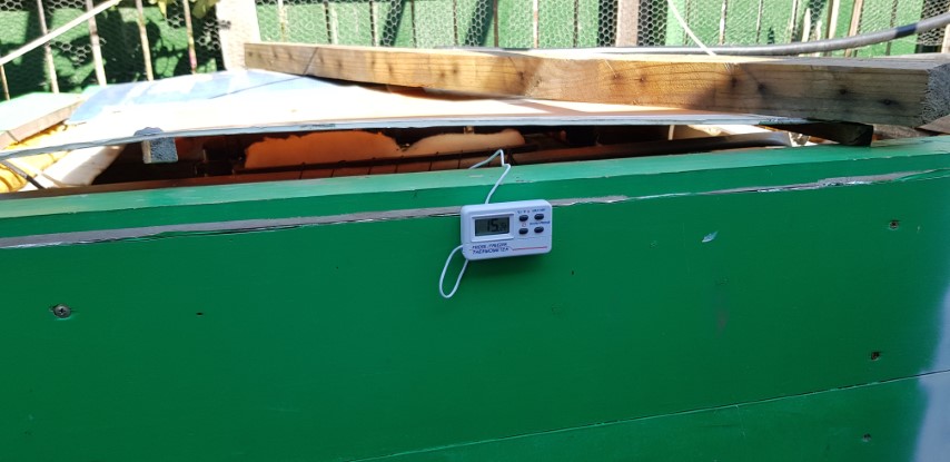 20180421_123342 (Small).jpg