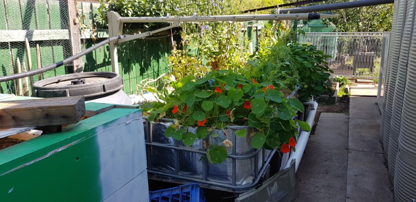 20180421_123346 (Small).jpg