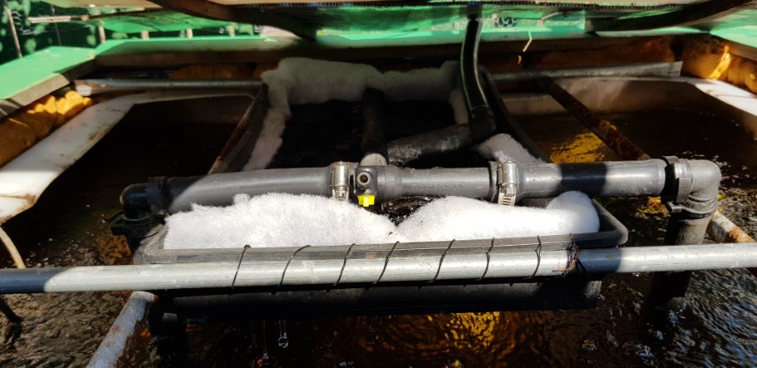 20180421_123354 (Small).jpg