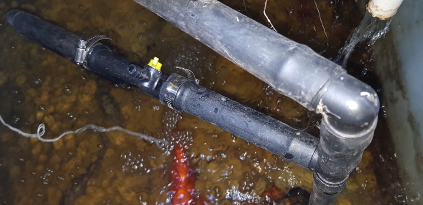 20180421_123417 (Small).jpg