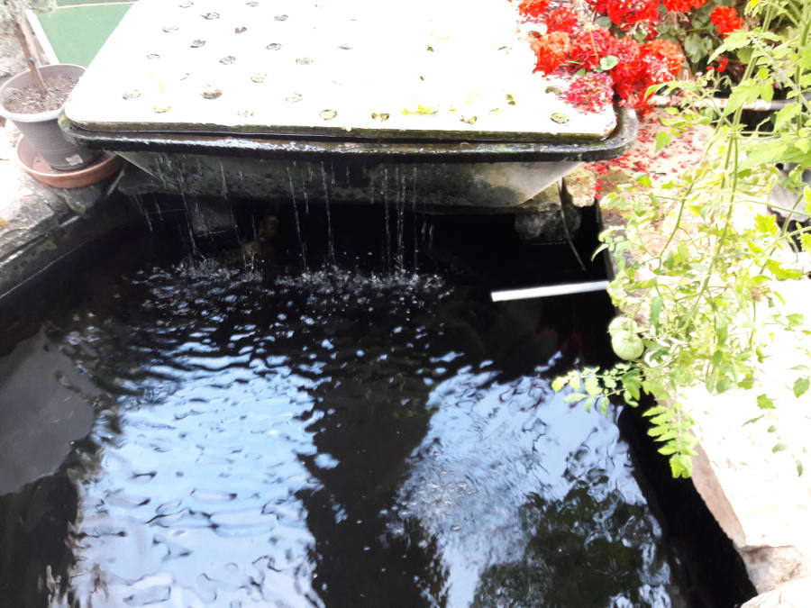 April-24-2018-Aquaponics-water-pump-upgrade-second-outflow-disappointing.jpg