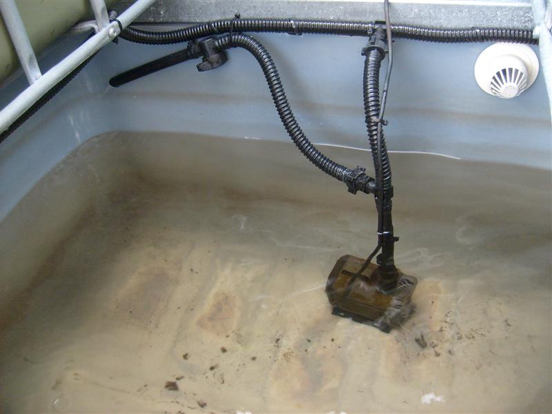 Diversion (Medium).JPG