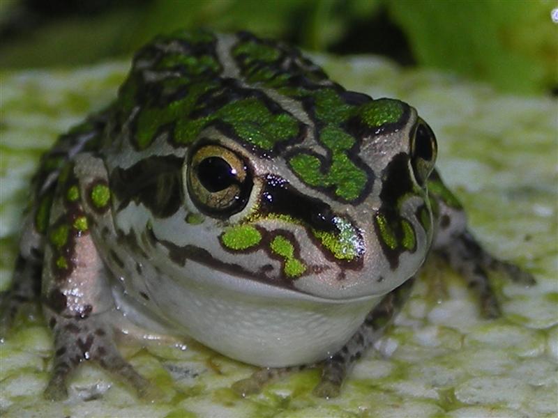 DSCN0470 (Medium).JPG