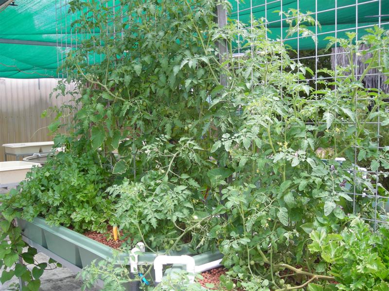 DSCN0435 (Medium).JPG