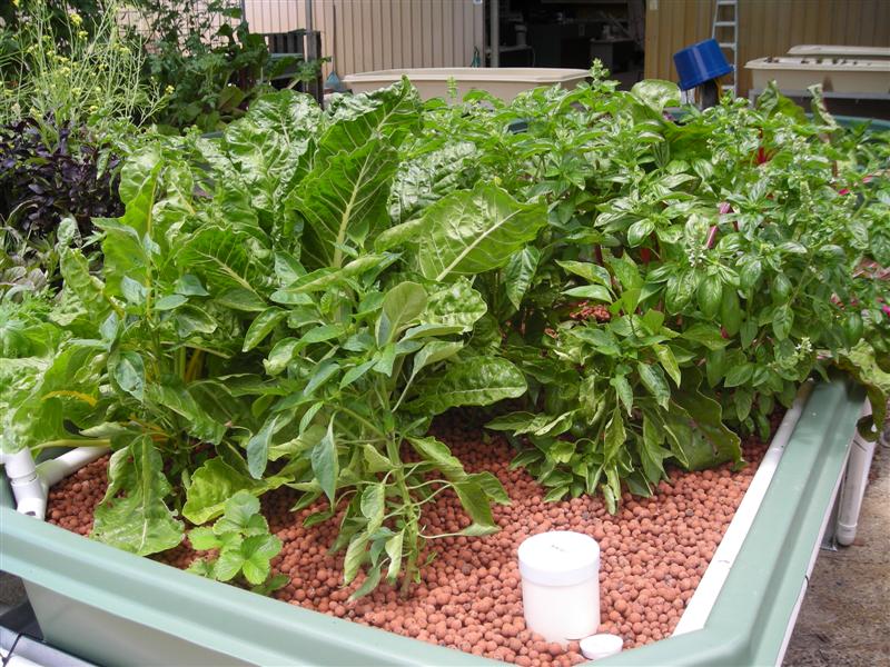 DSCN0434 (Medium).JPG