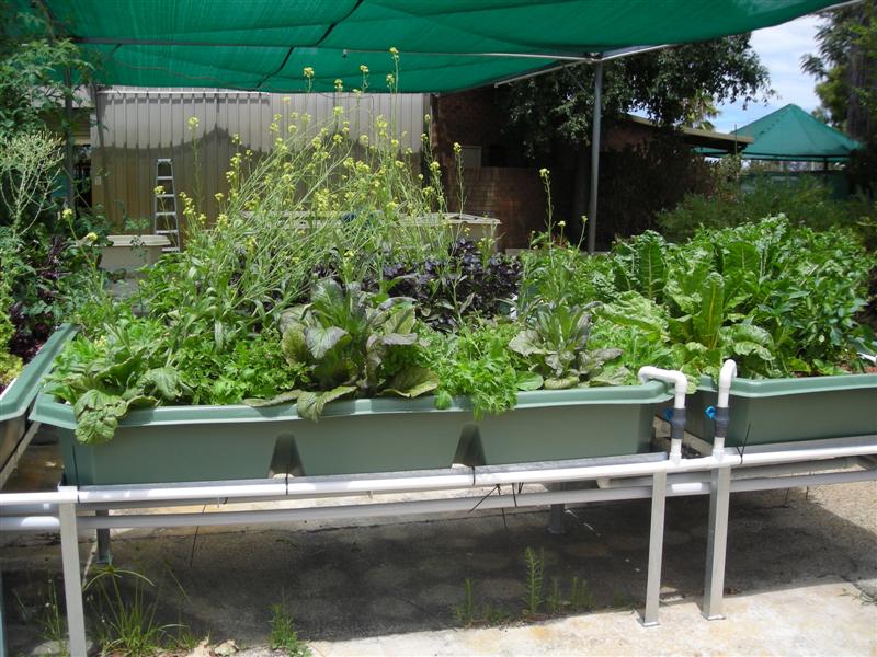 DSCN0432 (Medium).JPG