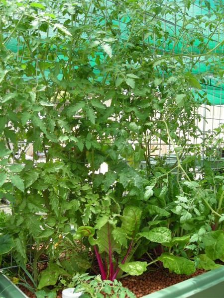 DSCN0430 (Medium).JPG