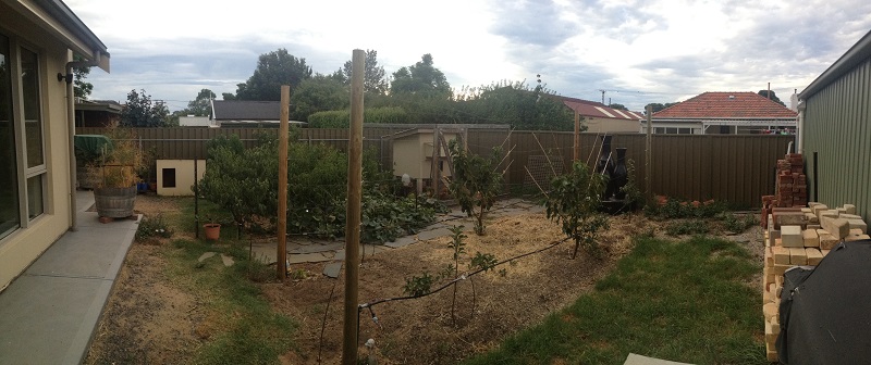 Panoramic rear yard.jpg