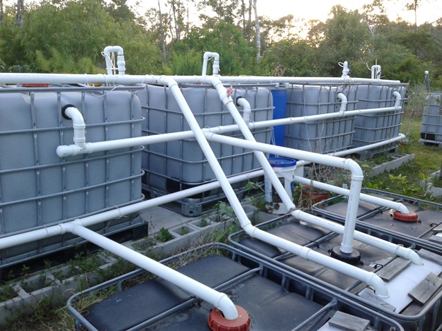 Back End Plumbing.jpg