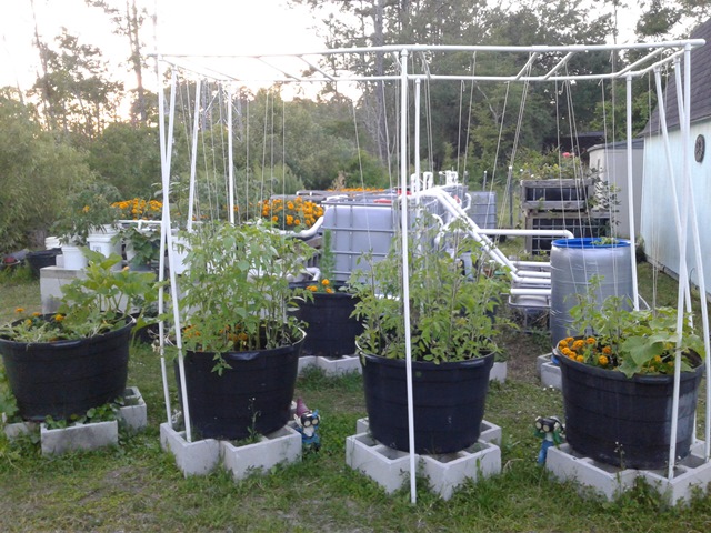 Powered by Aquaponics.jpg