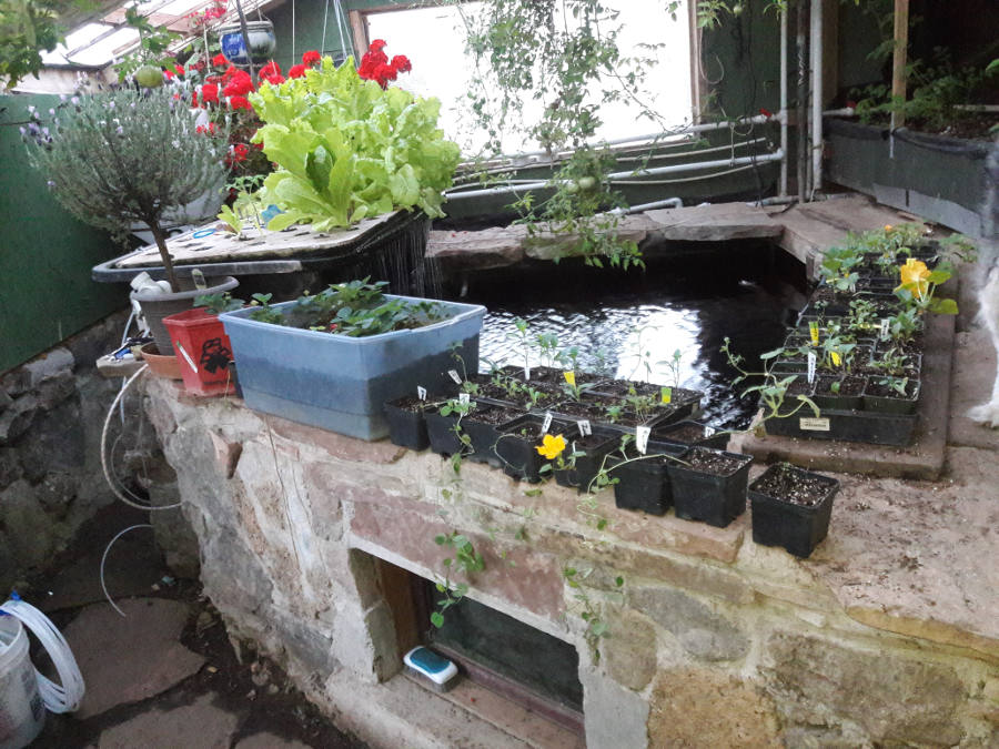 May-14-18-May-morning-aquaponics-house.jpg