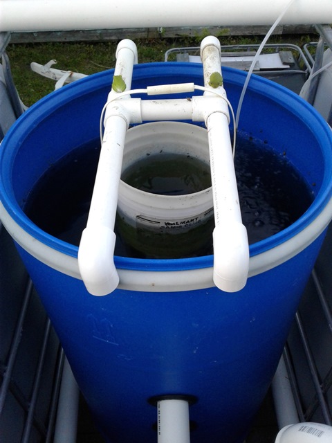 Protectors of the Filter.jpg