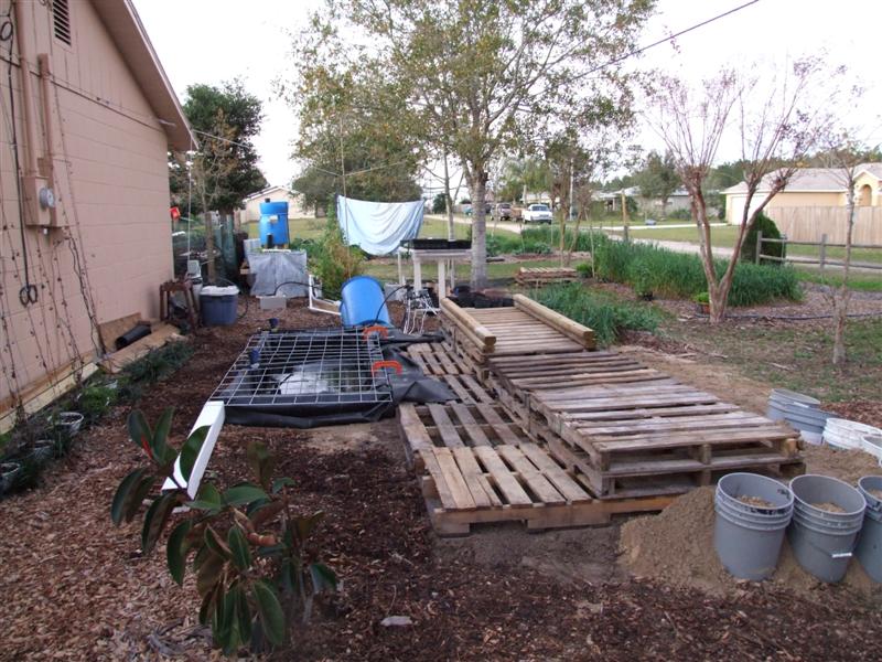 cleaning up (Medium).JPG