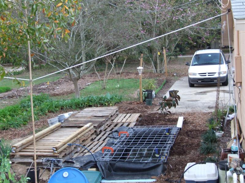 site with second bed pallets (Medium).JPG