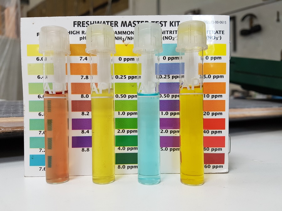 20161229_130618[1] Sy1WT.jpg