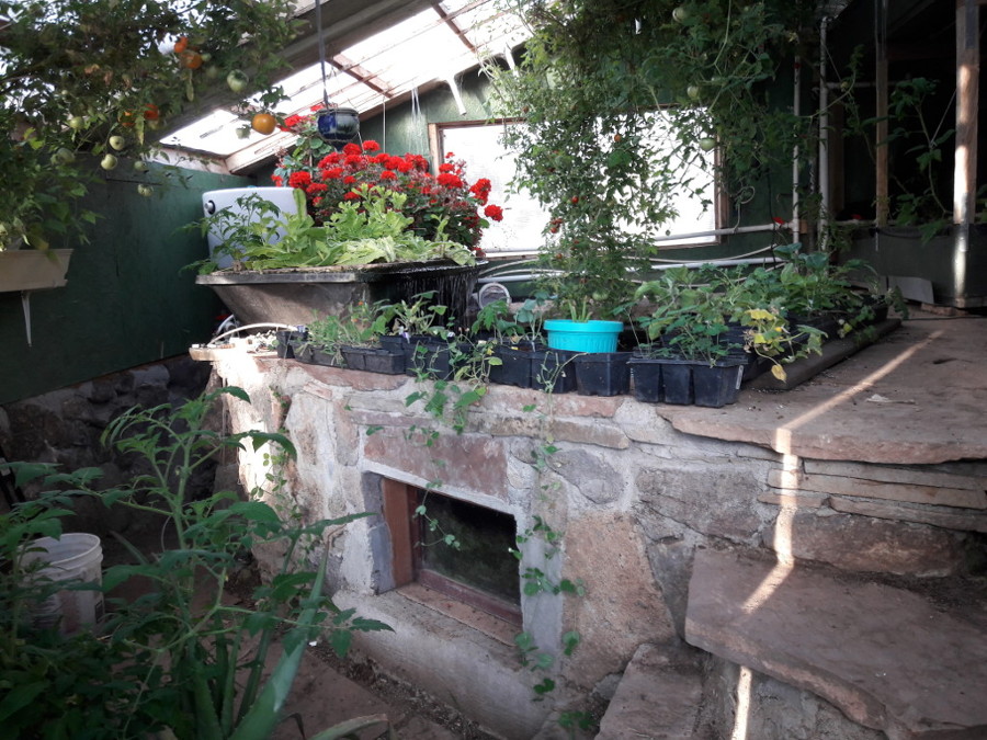 Brians-Masonry-aquaponics-north-side-3-June-10th-2018.jpg